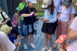 IMG-20240609-WA0019
