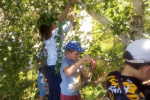 IMG_20220707_120550