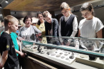 IMG-20250410-WA0041