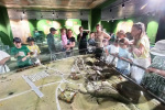 IMG-20240710-WA0031