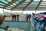 IMG-20250516-WA0000
