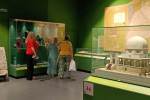 IMG-20250716-WA0010