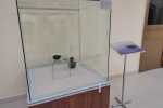 IMG-20240117-WA0012