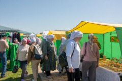 IMG_9565