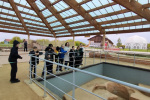 IMG-20240517-WA0202