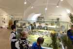 IMG-20240118-WA0057