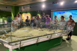 IMG-20240718-WA0015