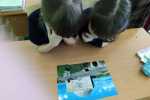 IMG-20240119-WA0027