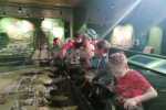 IMG-20240317-WA0016