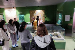 IMG-20240416-WA0023