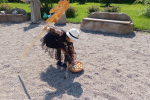 IMG-20240714-WA0014