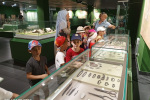 IMG-20240714-WA0022