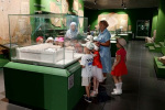 IMG-20240714-WA0028