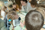 IMG-20240524-WA0043