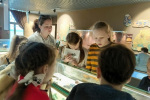 IMG-20240524-WA0049