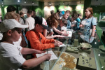 IMG-20250517-WA0119