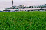 IMG-20240429-WA0008