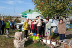 IMG-20241011-WA0001